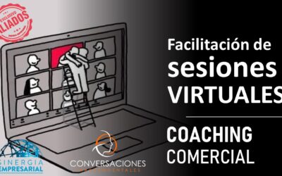 Facilitación de sesiones virtuales